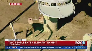 Man Brings 2-Year-Old Into Elephant Enclosure