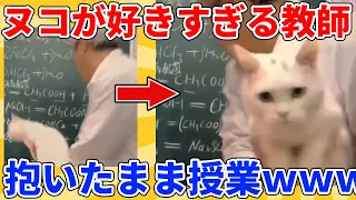 【2ch動物スレ】ヌコを抱いたまま授業する教師→意味不明すぎるｗｗｗｗｗ