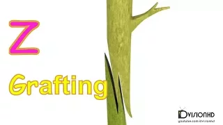 grafting methods-Z Grafting