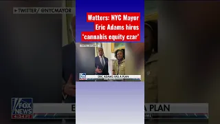 Jesse Watters: Cannabis needs to be equitable for Mayor Eric Adams #shorts