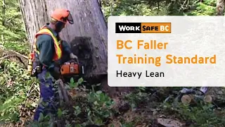 BC Faller Training Standard - Heavy Lean  (12 of 17)