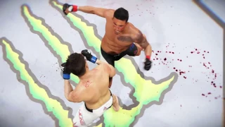 Dennis Bermudez vs Chan Sung Jung