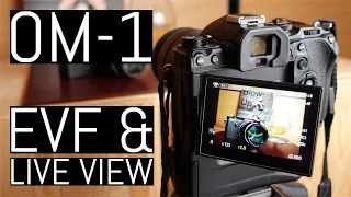 OM System OM-1 – Electronic Viewfinder and Live View Expert Guide