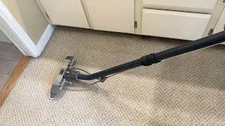 How to Remove a water stai. From carpet https://ferrantescarpetcleaning.com