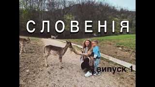 Словенія.Парк козуль.Целеський замок.Льодовикові гори в Національному парку Триглав -Logarska dolina