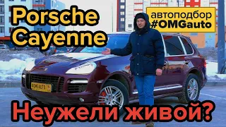 Автоподбор Porsche Cayenne - Честное мнение об #OMGauto