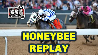 Honeybee Stakes 2024 | Oaklawn Park Replay [Kentucky Oaks]