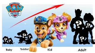 PAW Patrol 2023 Growing Up Compilation | ADN WORLD