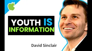 Youth is information that gets lost as we age | David Sinclair