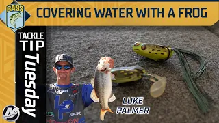Choosing between a Popping and Reeling Frog with Luke Palmer