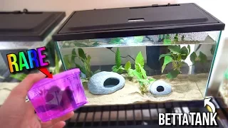 NEW *RARE* BETTA ONLY FISH TANK AQUARIUM SETUP!!