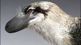 Paleo Profile - Dakotaraptor