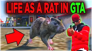 We Pretended to be RAT NPCs for a Day (SNEAKING EVERYWHERE!) GTA RP