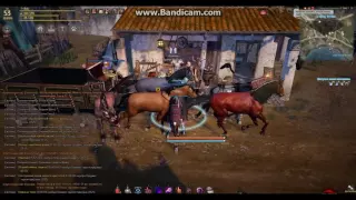 Black Desert Точим Бхега и Маскана на 19