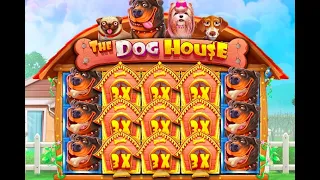 OMG WE GOT 17 FREE SPINS ON DOG HOUSE