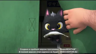 Жил был кот(◕‿◕)Rudolf The Black Cat