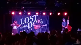 Lost Dog Street Band  - Using Again  - Nashville 7/13/22