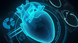 Artificial intelligence in cardiac imaging by Dr. Vidal