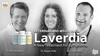 Laverdia: A New Treatment for Lymphoma | Dr. D. Bruyette, Dr. M. Duffy and Dr. C. Clifford Deep Dive