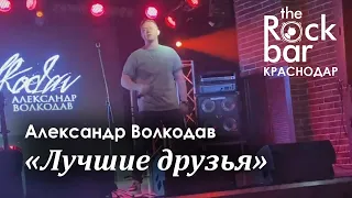 Александр Волкодав - Лучшие друзья (The Rock Bar, Краснодар, 26.04.2024) #александрволкодав #голос