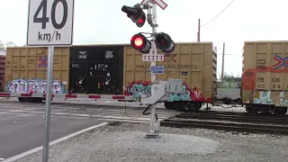 BNSF Freight Train at Braid St Crossing #2