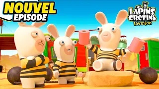 Les Lapins Crétins en prison (S04E13) | Nouvel Episode | Les Lapins Crétins Invasion 🐰