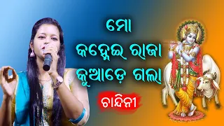 Mo Kanhei Raja Kuade Gala || Odia Bhajan || Chandini