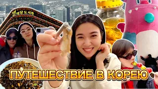 ПУТЕШЕСТВИЕ В КОРЕЮ | ТРИП ПО СЕУЛУ | КОРЕЙСКАЯ ЕДА | ПРИЛЕТЕЛА ПОДРУГА В КОРЕЮ | БЕРЕМЕННА ЛИ?