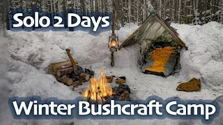 SOLO Two Days WINTER BUSHCRAFT Camp - Shelter in Snowfall - Lavvu Poncho - Spoon Carving