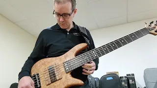 Fodera Monarch 6 Elite tone demo