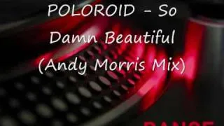 Poloroid - So Damn Beautiful - Andy Morris Mix.wmv