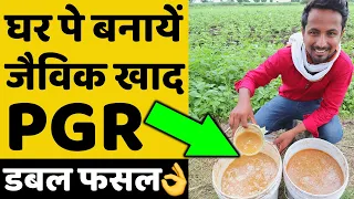 सस्ता देसी जैविक खाद बनाने का सही तरीका🔥🔥फसल होगी डबल | Desi Jugaad Organic PGR Fertilizer