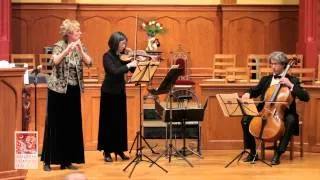 Haydn: London Trio No. 1 / Andante _ for flute, violin and cello