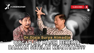 Episode 16 | Butuh Berapa Lama Organ Manusia Berhenti Bahkan Setelah Kematian? #forensik #dokter