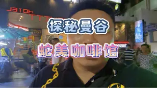 探秘曼谷蛇美咖啡馆，粉丝的要求我一定满足导游小方脸蛇美咖啡厅 泰兰德探秘曼谷蛇美咖啡馆，粉