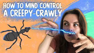 How To Mind Control A Creepy-Crawly | Get On It | BBC Earth Kids