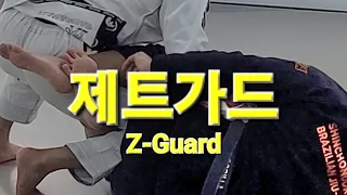 제트가드 Z-Guard (기술도움 : 이지호) #제트가드 #ZGuard