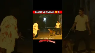 POV:-HUMAN VS ANIMALS 👻|| hanuman | #comedyshorts #hanumanji #bajrangbali #ghost #prank #viral#video