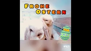 Wünsche Frohe Ostern 🐣 Video hallo du da