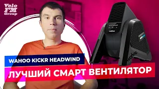 Обзор Wahoo KICKR Headwind. Лучший Смарт Вентилятор Для Домашних Тренировок | VeloFM Group