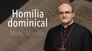 Homilía 8-05-2022 Mons. Munilla Domingo 4º de Pascua