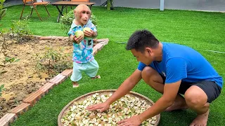 Bibi helps Dad Processing Thai eggplants harvested!