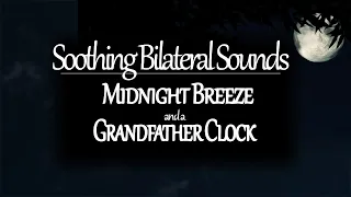 Soothing Bilateral Sounds for Anxiety, Stress 🎧 Midnight Breeze and a Grandfather Clock | 1 Hour