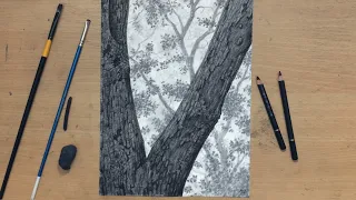 Charcoal Drawing of a Rough Tree Bark