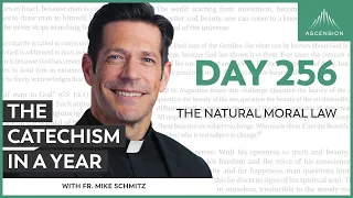 Day 256: The Natural Moral Law — The Catechism in a Year (with Fr. Mike Schmitz)