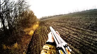 Три работы дратхаара по зайцу: в посадке и в поле  - Охота на зайца / Hare hunting