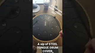 a sip of steel tongue drum cover - a whole new world