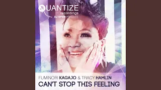 Can't Stop This Feeling (Instrumental Mix)
