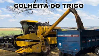 COLHEITA DO TRIGO 2023, FILA NA COOPERATIVA PRA ENTREGAR TÁ GRANDE TIVE QUE VOLTAR EMBORA