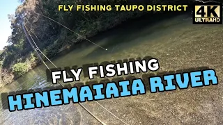 Fly Fishing The Hinemaiaia River in 4K